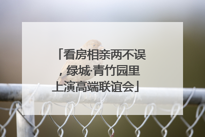 看房相亲两不误，绿城·青竹园里上演高端联谊会