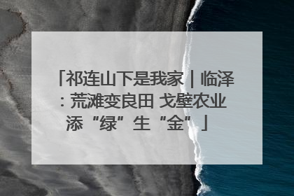 祁连山下是我家｜临泽：荒滩变良田 戈壁农业添“绿”生“金”