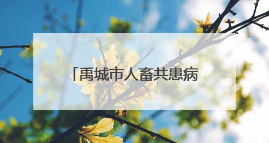 禹城市人畜共患病防控微电影进乡村