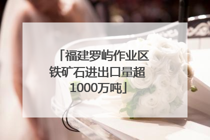 福建罗屿作业区铁矿石进出口量超1000万吨