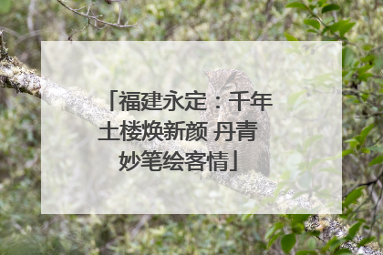 福建永定：千年土楼焕新颜 丹青妙笔绘客情
