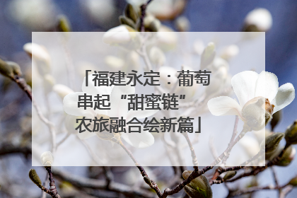 福建永定：葡萄串起“甜蜜链” 农旅融合绘新篇