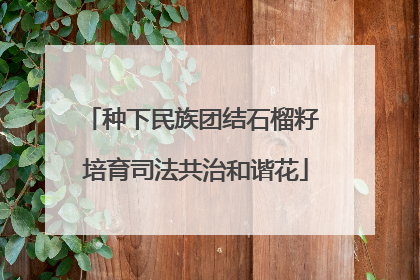 种下民族团结石榴籽 培育司法共治和谐花