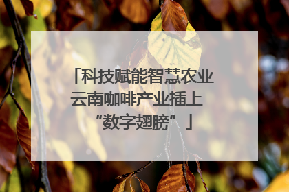 科技赋能智慧农业 云南咖啡产业插上“数字翅膀”