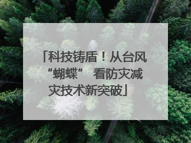 科技铸盾！从台风“蝴蝶” 看防灾减灾技术新突破