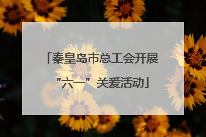 秦皇岛市总工会开展“六一”关爱活动