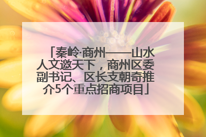 秦岭·商州——山水人文邀天下，商州区委副书记、区长支朝奇推介5个重点招商项目