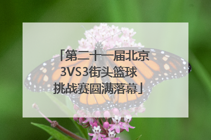 第二十一届北京3VS3街头篮球挑战赛圆满落幕