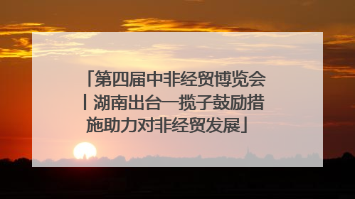 第四届中非经贸博览会丨湖南出台一揽子鼓励措施助力对非经贸发展