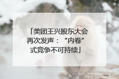 美团王兴股东大会再次发声：“内卷”式竞争不可持续