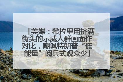 美媒：希拉里用挤满街头的示威人群画面作对比，嘲讽特朗普“低能量”阅兵式观众少