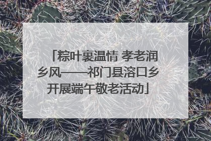粽叶裹温情 孝老润乡风——祁门县溶口乡开展端午敬老活动