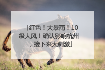 红色！大暴雨！10级大风！确认影响杭州，接下来太刺激