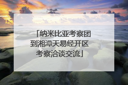 纳米比亚考察团到湘潭天易经开区考察洽谈交流