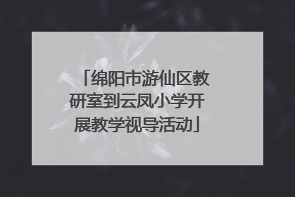 绵阳市游仙区教研室到云凤小学开展教学视导活动