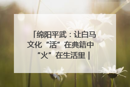 绵阳平武：让白马文化“活”在典籍中 “火”在生活里｜新闻发布最前线