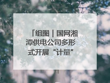 组图｜国网湘潭供电公司多形式开展“计量”主题宣传