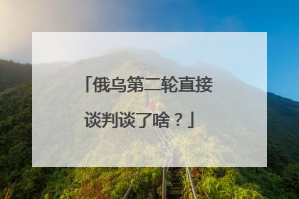 俄乌第二轮直接谈判谈了啥？