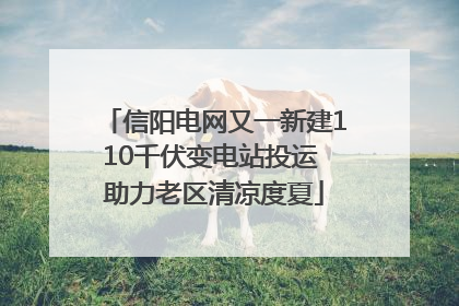 信阳电网又一新建110千伏变电站投运 助力老区清凉度夏