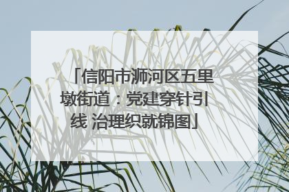信阳市浉河区五里墩街道：党建穿针引线 治理织就锦图