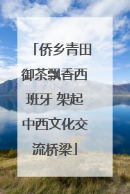 侨乡青田御茶飘香西班牙 架起中西文化交流桥梁