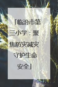 临汾市第三小学：聚焦防灾减灾 守护生命安全
