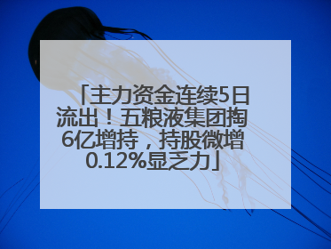 主力资金连续5日流出！五粮液集团掏6亿增持，持股微增0.12%显乏力