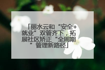 丽水云和“安全+就业”双管齐下，拓展社区矫正“全周期”管理新路径