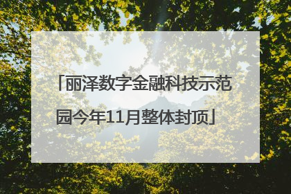 丽泽数字金融科技示范园今年11月整体封顶