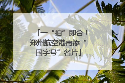 一“拍”即合！郑州航空港再添“国字号”名片