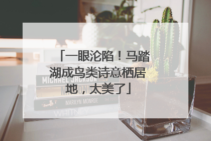 一眼沦陷！马踏湖成鸟类诗意栖居地，太美了