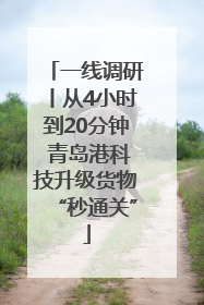 一线调研丨从4小时到20分钟 青岛港科技升级货物“秒通关”