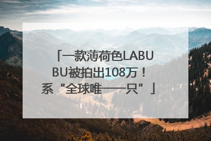 一款薄荷色LABUBU被拍出108万！系“全球唯一一只”