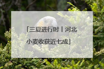 三夏进行时丨河北小麦收获近七成