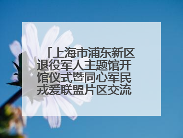 上海市浦东新区退役军人主题馆开馆仪式暨同心军民戎爱联盟片区交流会举行