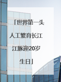世界第一头人工繁育长江江豚迎20岁生日