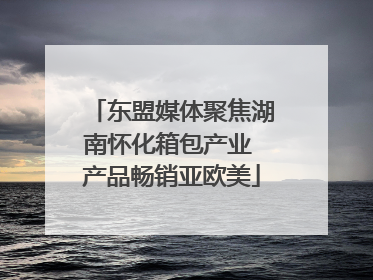 东盟媒体聚焦湖南怀化箱包产业 产品畅销亚欧美
