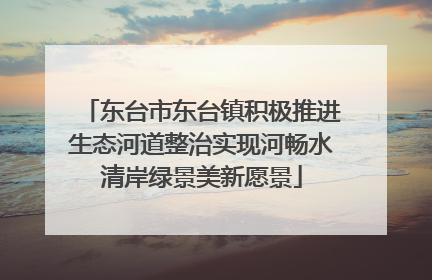 东台市东台镇积极推进生态河道整治实现河畅水清岸绿景美新愿景
