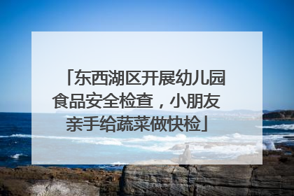 东西湖区开展幼儿园食品安全检查，小朋友亲手给蔬菜做快检