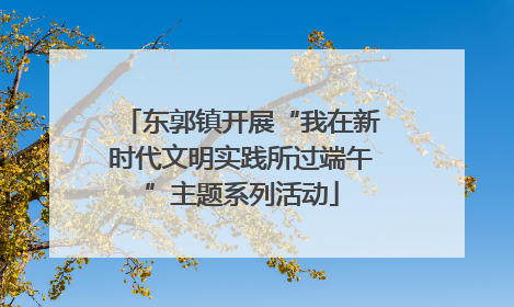 东郭镇开展“我在新时代文明实践所过端午”主题系列活动
