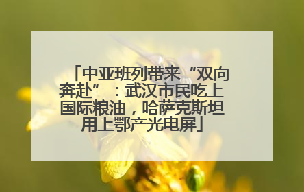 中亚班列带来“双向奔赴”：武汉市民吃上国际粮油，哈萨克斯坦用上鄂产光电屏