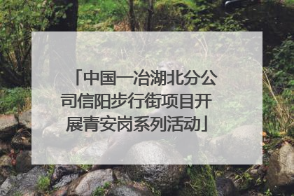 中国一冶湖北分公司信阳步行街项目开展青安岗系列活动