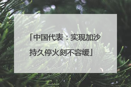 中国代表：实现加沙持久停火刻不容缓