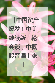 中国资产爆发！中美继续新一轮会谈，中概股普遍上涨