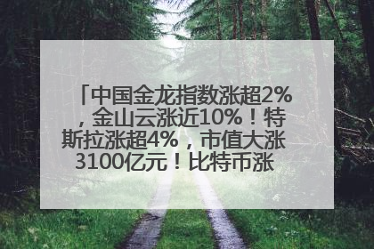 中国金龙指数涨超2%，金山云涨近10%！特斯拉涨超4%，市值大涨3100亿元！比特币涨回11万美元关口