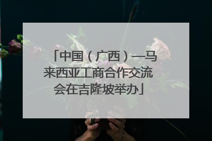 中国（广西）—马来西亚工商合作交流会在吉隆坡举办