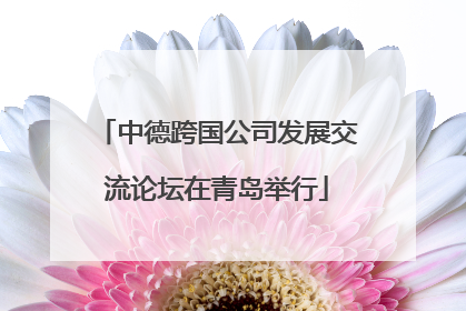 中德跨国公司发展交流论坛在青岛举行