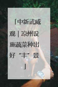 中新武威观｜凉州设施蔬菜种出好“丰”景