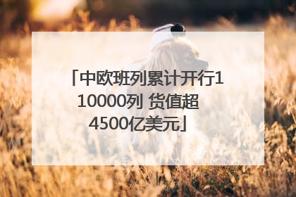 中欧班列累计开行110000列 货值超4500亿美元