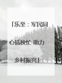 乐至：军民同心插秧忙 助力乡村振兴
